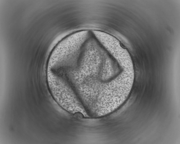 X0000113331192200910131142