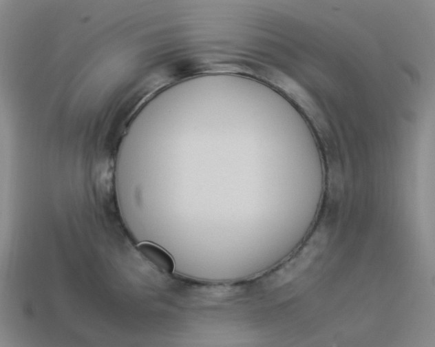X0000113331193200910131142