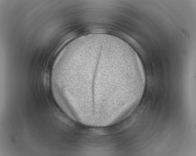 X0000113331194200910131142