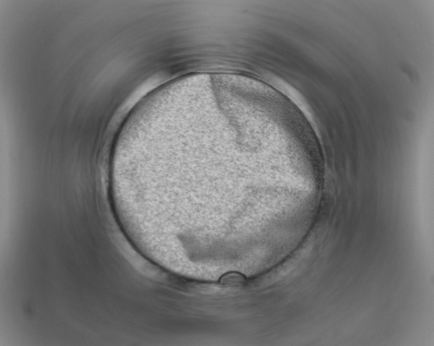 X0000113331195200910131142