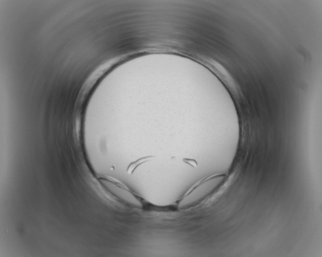 X0000113331196200910131142