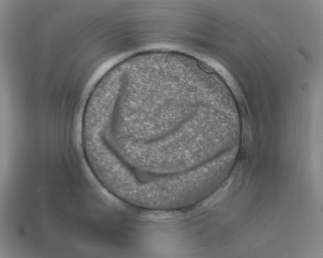 X0000113331199200910131142