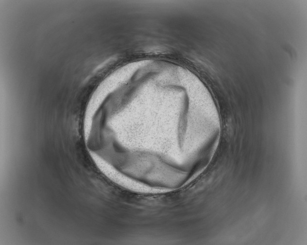 X0000113331205200910131141