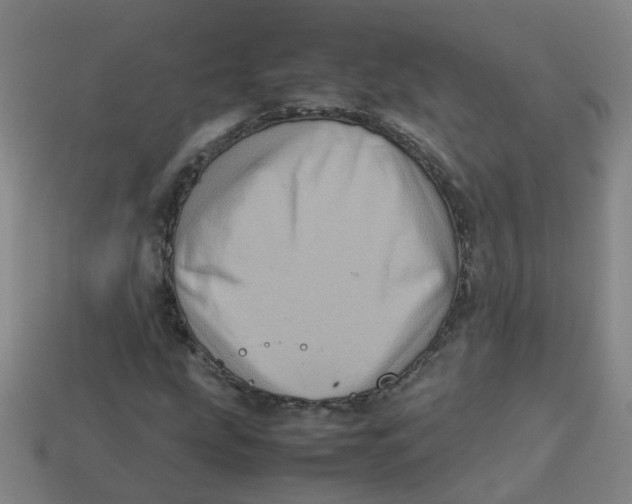 X0000113331207200910131141