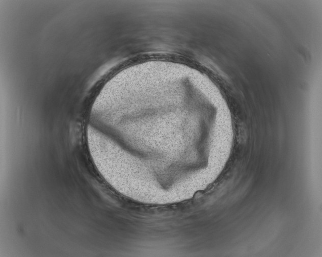 X0000113331208200910131141