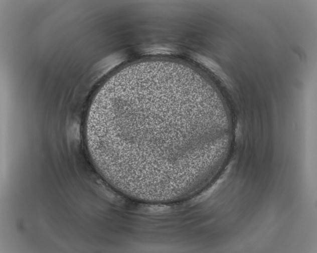 X0000113331209200910131141