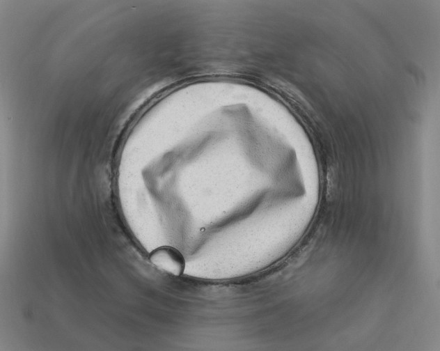 X0000113331212200910131141