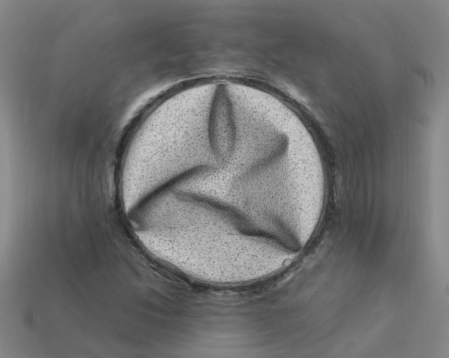 X0000113331214200910131141