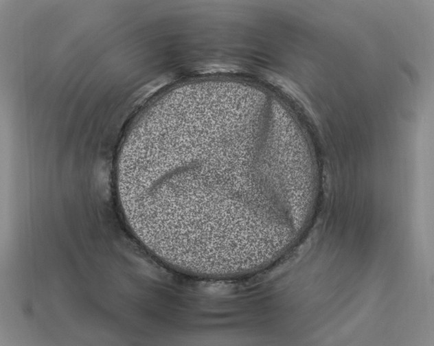 X0000113331217200910131141