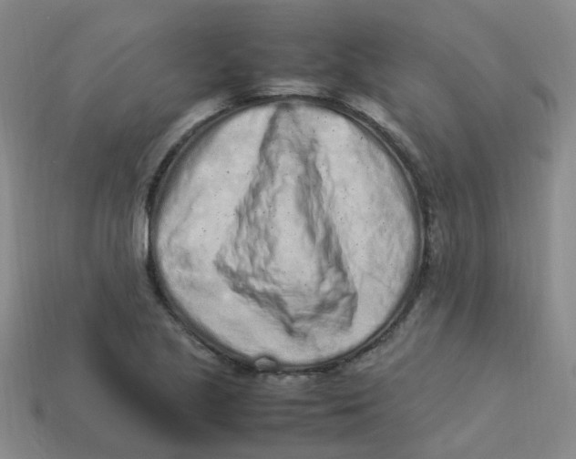 X0000113331221200910131142