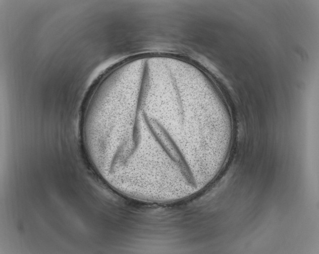 X0000113331222200910131142