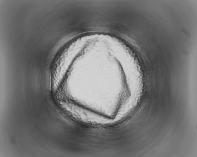 X0000113331223200910131142