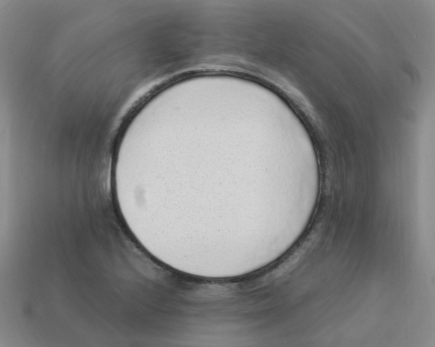 X0000113331224200910131142