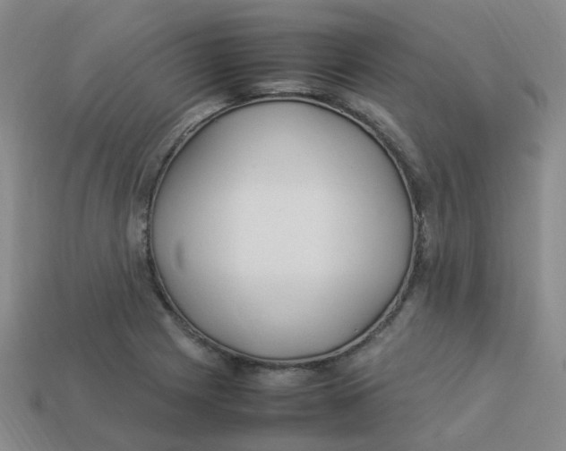 X0000113331225200910131142