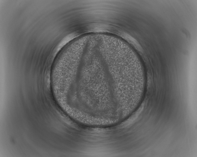 X0000113331226200910131142
