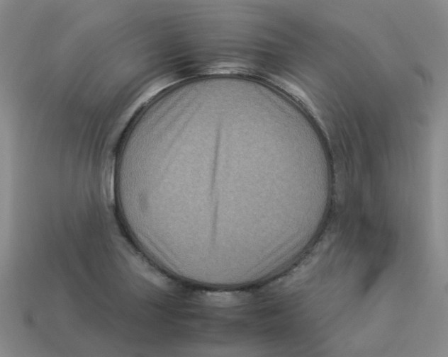 X0000113331227200910131142