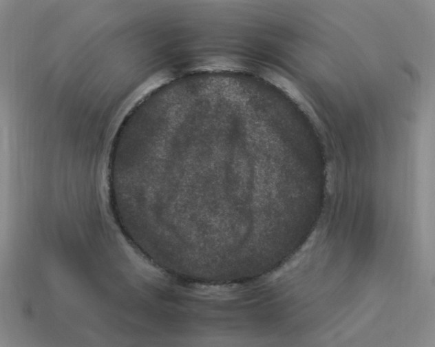 X0000113331229200910131142