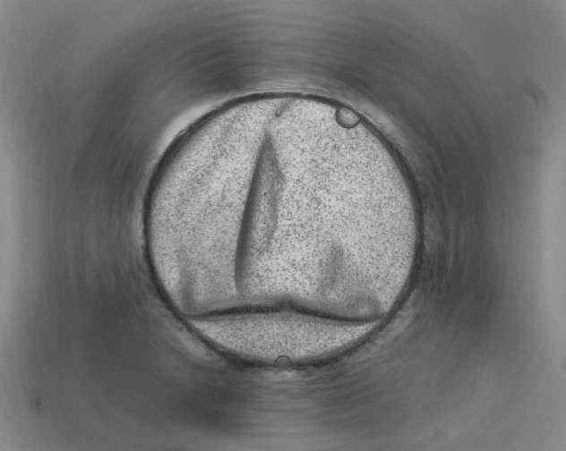 X0000113331230200910131142
