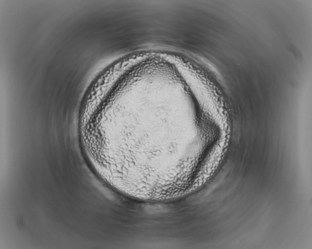 X0000113331231200910131142