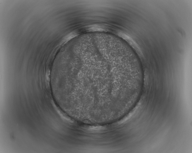 X0000113331233200910131142