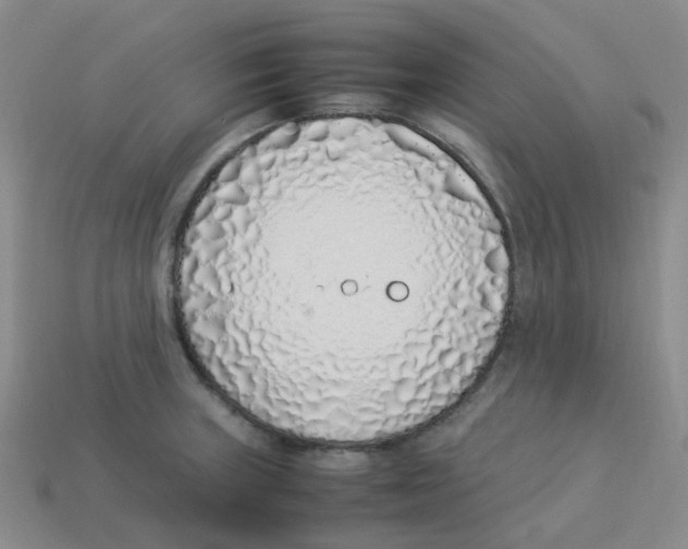 X0000113331235200910131142