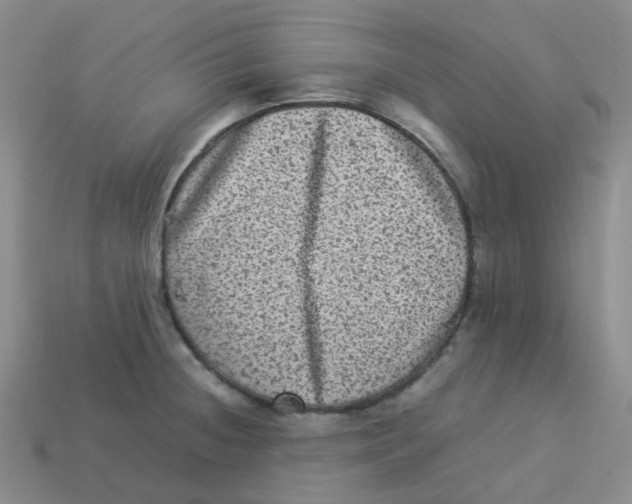 X0000113331236200910131142