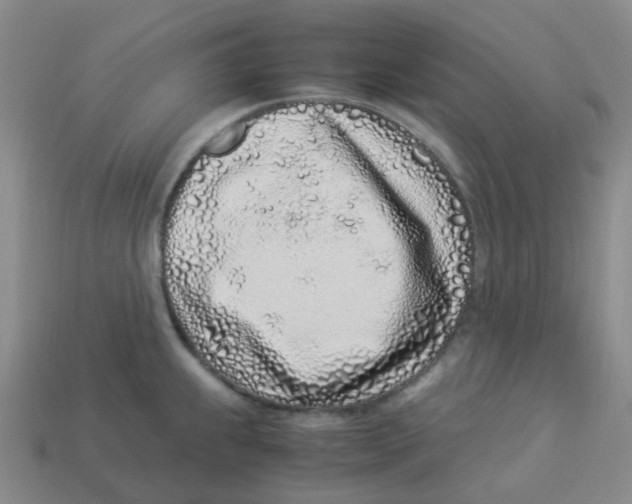 X0000113331239200910131142