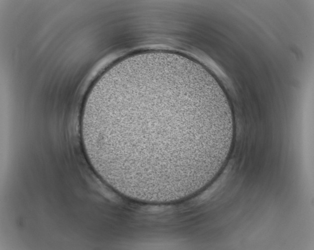 X0000113331240200910131142