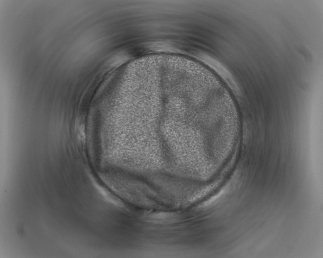 X0000113331241200910131142