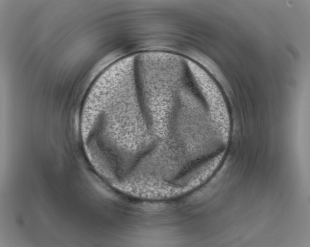 X0000113331242200910131142