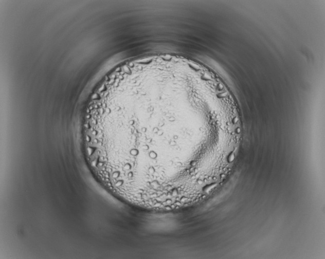 X0000113331243200910131142