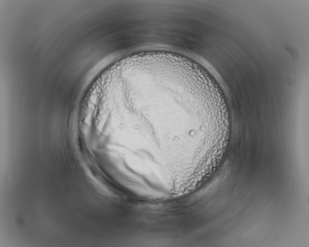X0000113331245200910131142