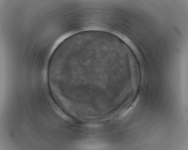 X0000113331246200910131142
