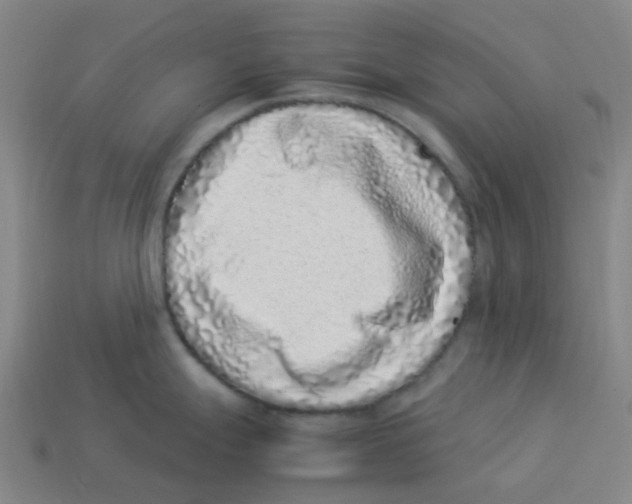 X0000113331247200910131142