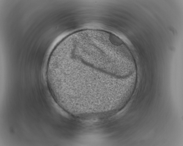 X0000113331248200910131142