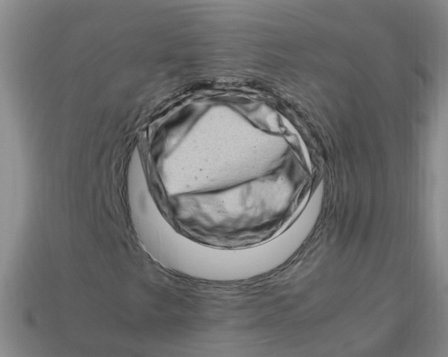 X0000113331249200910131141