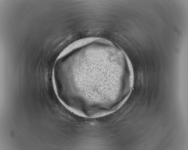 X0000113331250200910131141