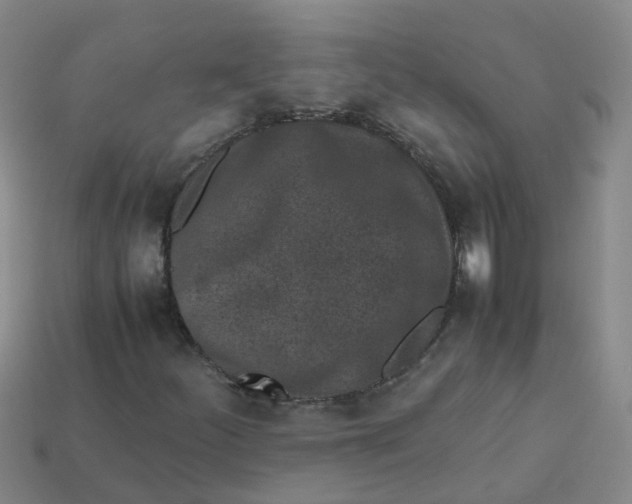 X0000113331252200910131141