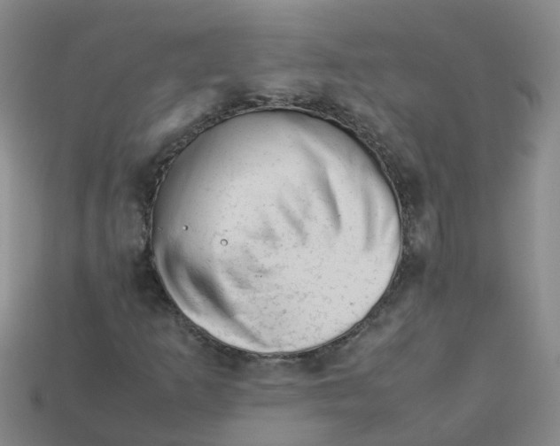 X0000113331253200910131141