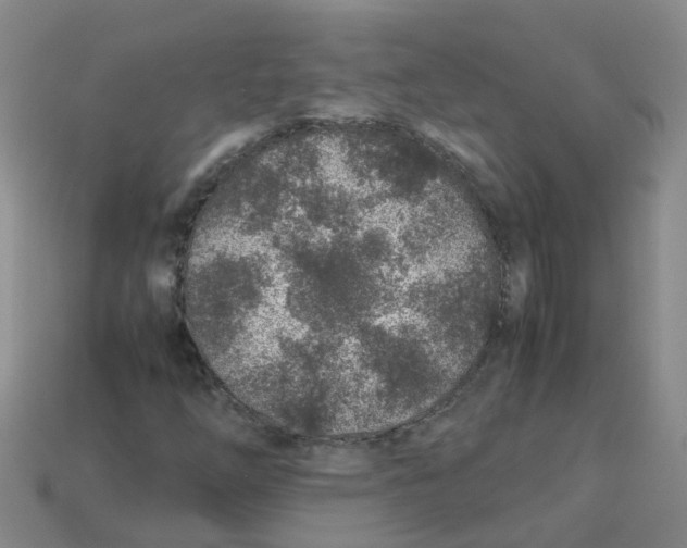X0000113331254200910131141