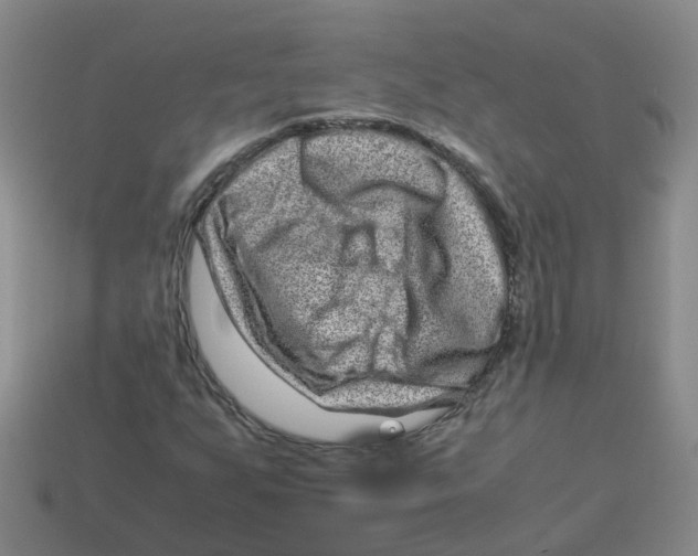 X0000113331255200910131141
