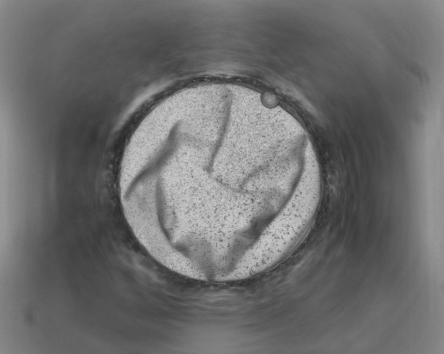 X0000113331256200910131141