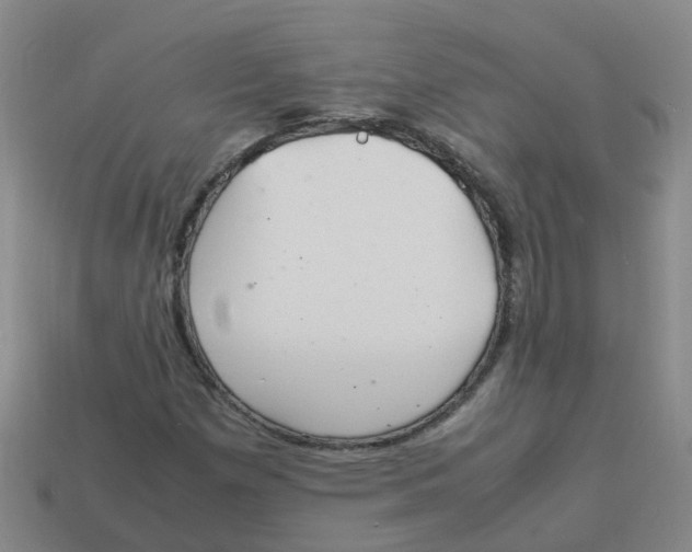 X0000113331257200910131141