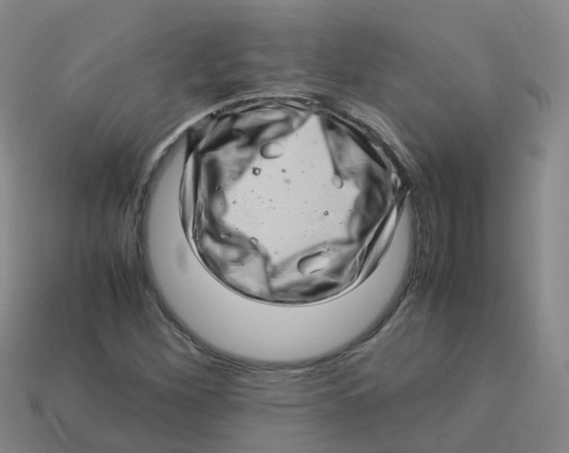 X0000113331260200910131141