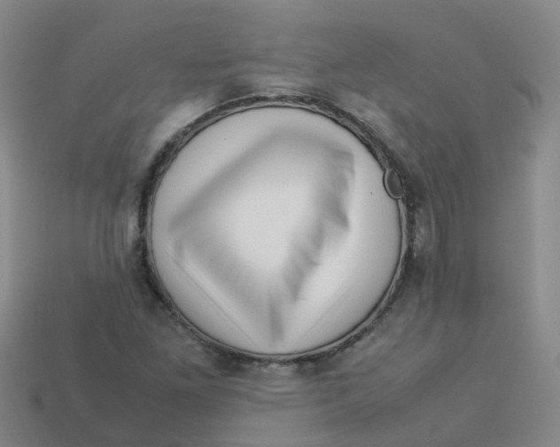 X0000113331261200910131141