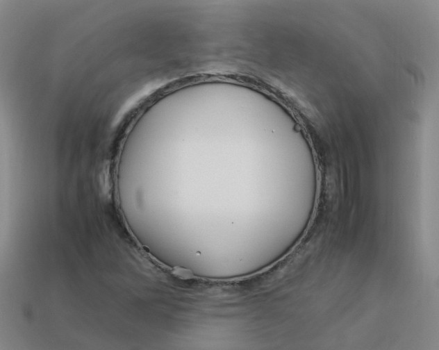 X0000113331262200910131141