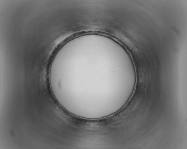 X0000113331264200910131141
