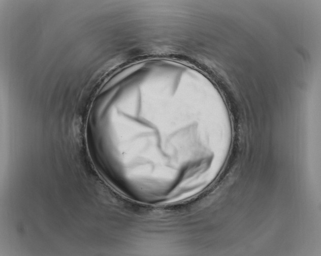 X0000113331265200910131141