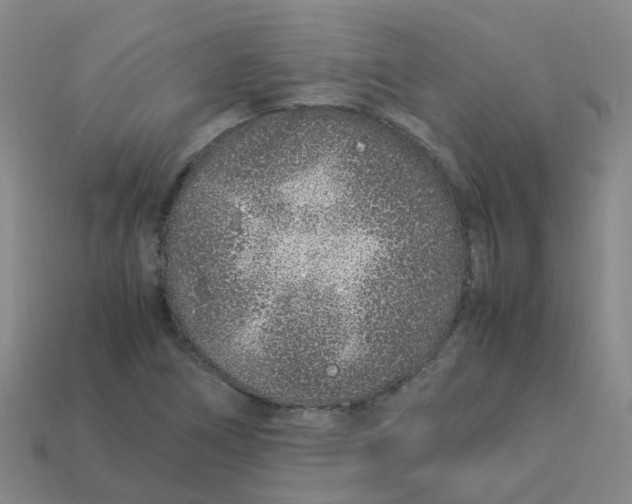 X0000113331266200910131141