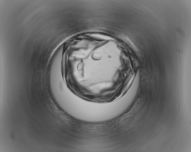 X0000113331268200910131141